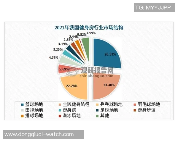 西安篮球队意识提升与团队协作的深度探讨与分析